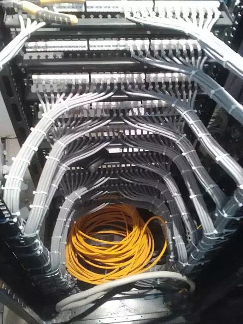 抢占数字转型先机:黑龙江软件开发市场风向标